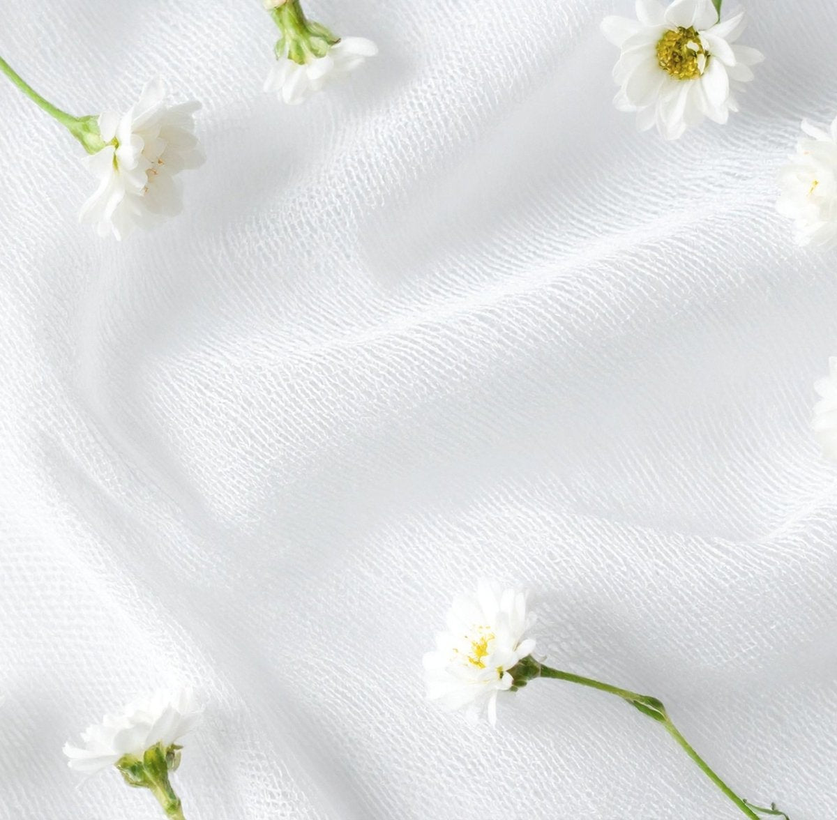 Blanchissant textiles - GreenBerry Sonett