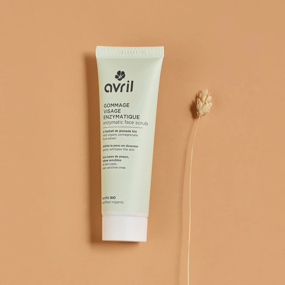 Gommage visage Enzymatique ~ Tous types de peaux - GreenBerry Avril