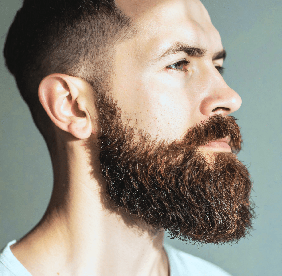 Huile à Barbe - GreenBerry Avril