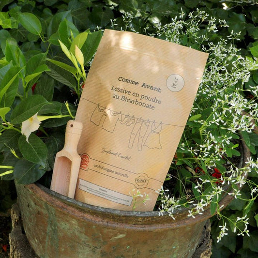Lessive en poudre ~ Neutre (sans parfum) - GreenBerry GreenBerry